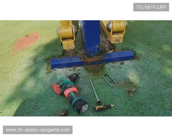 关于健身器材的基础介绍与使用分类说明