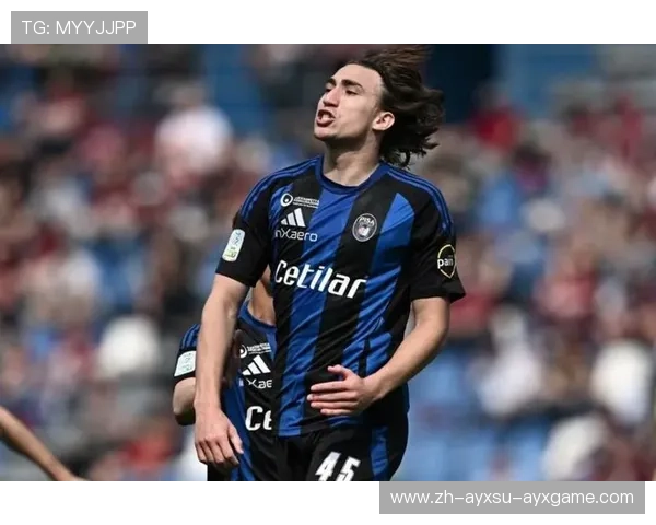 意甲降级球队的老板背景及球队变动