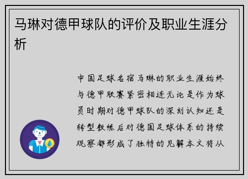 马琳对德甲球队的评价及职业生涯分析